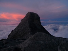 P1070639a.jpg